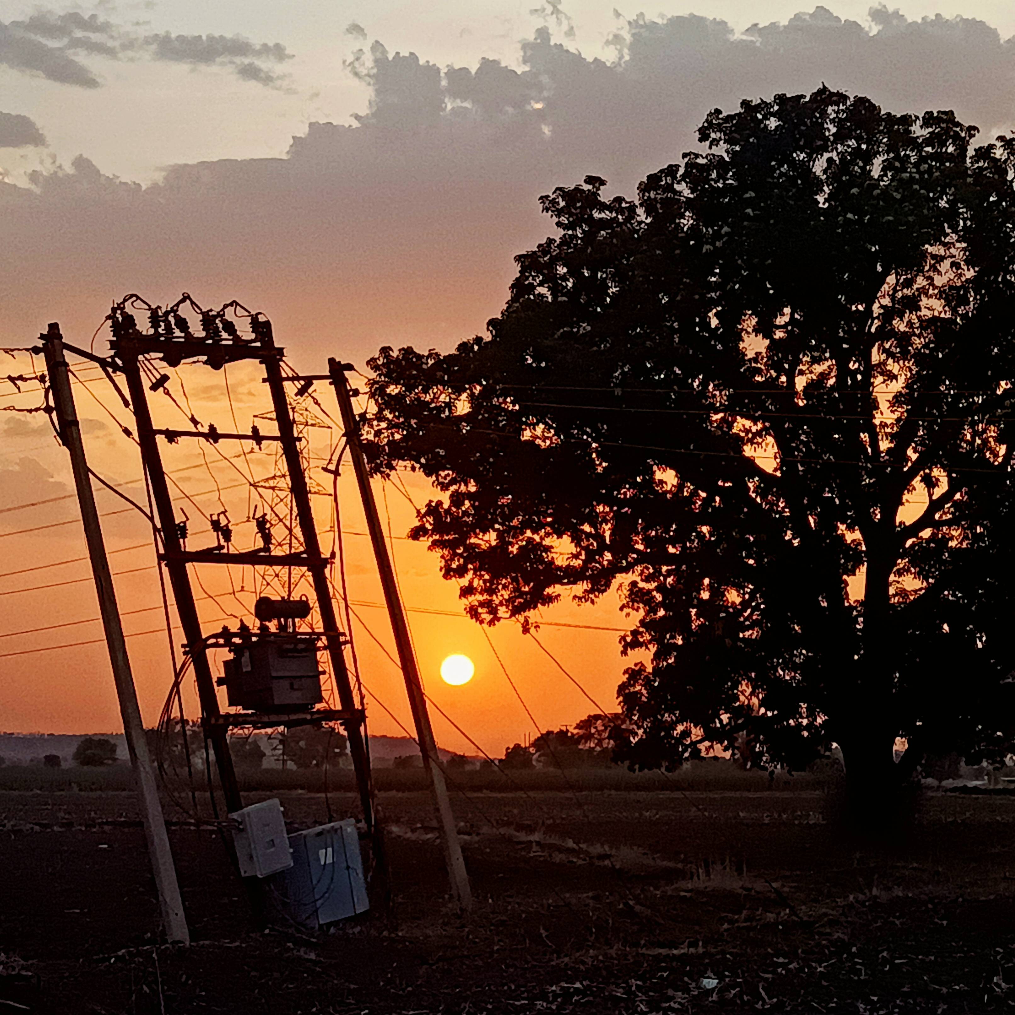 Sarkate Farm gallery photograph